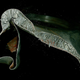 Illustration for article titled A Beautiful Scrap of Metal Reminds Us Space Travel Can Go Wrong